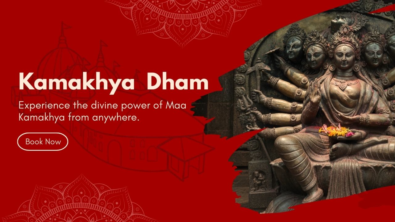 Website Banner